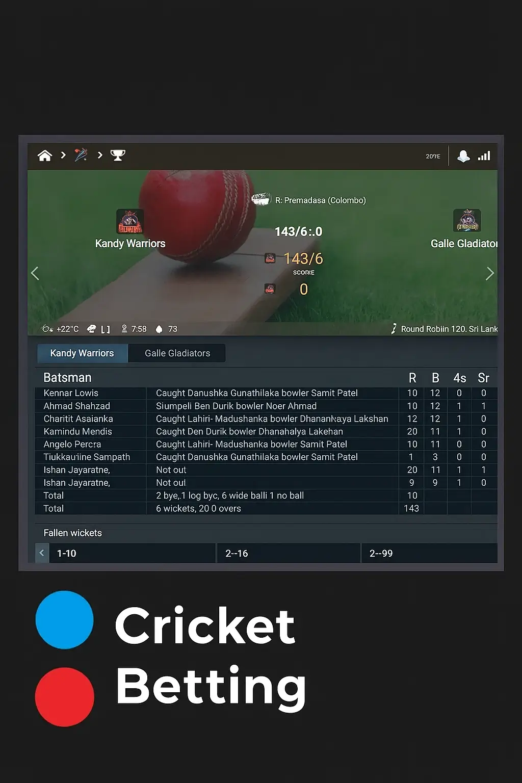 MegaPari Cricket Betting screenshot